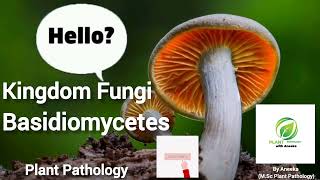 Kingdom fungi  Class Basidiomycetes  Mushrooms  order Uredinales  order Ustilaginales [upl. by Jared]