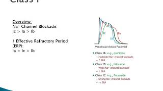 Pharmacology of Antiarrhythmics [upl. by Latihs]