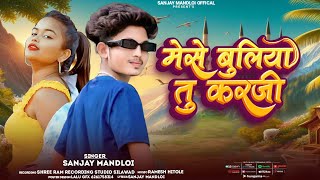 मेसें बुलीया तु करती 😜Mese buliya tu karjisinger Sanjay Mandloi Aadiwasi new timli song 2024 [upl. by Tanah]