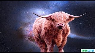 Taurus वृष राशि  August 2018 [upl. by Diarmuid]