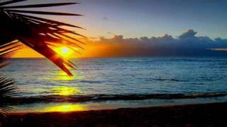 Sunset Serenity Relaxation Meditation with Ocean and Palm Tree Silhouette [upl. by Noemi]