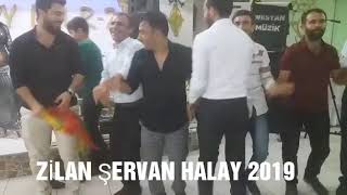 zilan şervan halay 2019 istanbul [upl. by Arbmik509]