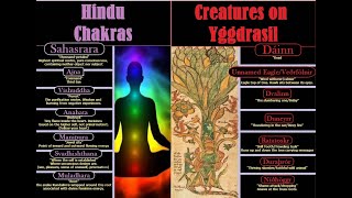 Hindu Chakras in Norse Mythology [upl. by Turrell5]