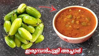 ഇരുമ്പൻപുളി അച്ചാർ  Bilimbi Pickle  Malayalam  Recipe  Eps 11 bilimbipickle SejilasCookworld [upl. by Ennovyahs]