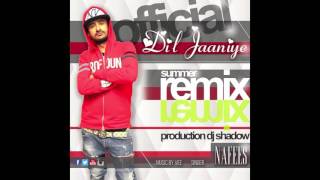 DIL JAANIYE  Nafees Singer  DJ Shadow  Summer Hit  OFFICIAL REMIX [upl. by Derian]