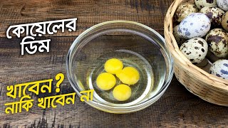 কোয়েল পাখির ডিমের উপকারিতা ও অপকারিতা • জেনেনিন এ ডিম খেলে কি হবে [upl. by Joby490]