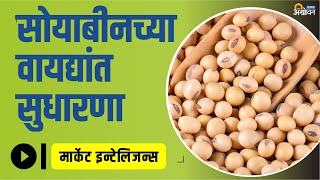 Soybean Bajarbhav आंतरराष्ट्रीय बाजारात सुधरला  सोयाबीन बाजारभाव बातम्या  Agrowon  ॲग्रोवन [upl. by Hyacinthe425]