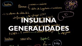 Metabolismo de carbohidratos Generalidades 1 de 4 [upl. by Nadnal]