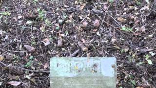 Klingler Cemetery in the Midewin National Tallgrass Prairie [upl. by Ennovaj]