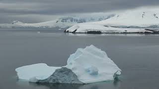 ANTARCTICA PENINSULA Day One  DALLMANN BAY and PARADISE HARBOUR February 24 2024 [upl. by Pulchia]