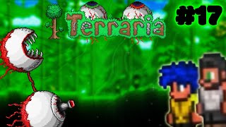 Kończymy Mechanicznych  Terraria 17 [upl. by Gant521]