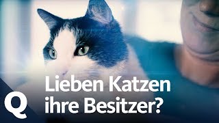 KatzenExperiment Lieben sie ihre Menschen  Quarks [upl. by Sid972]