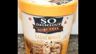 So Delicious Dairy Free CashewMilk Salted Caramel Cluster NonDairy Dessert Review [upl. by Piane]