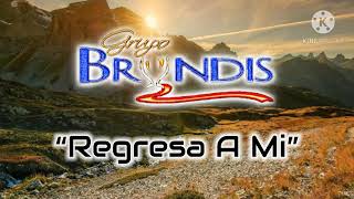 Regresa A Mi  Grupo Bryndis Karaoke  Letra [upl. by Aneeroc]