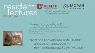 Anterior and Intermediate Uveitis A Practical Approach for the Comprehensive Eye Providers [upl. by Eicak961]