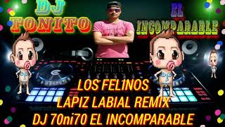 Los Felinos Lapiz Labial Remix By Dj Tonito [upl. by Nottnerb]