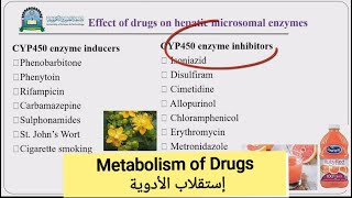 6 Metabolism of drugs إستقلاب الأدوية [upl. by Saffren]