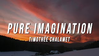 Timothée Chalamet  Pure Imagination Lyrics from Wonka [upl. by Okihsoy372]