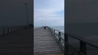 Who wants to go pier fishing saltwaterfishing fishing pierfishing [upl. by Nosydam]