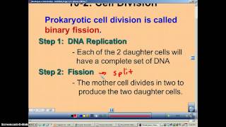 Chapter 10 Podcast 2 Prokaryotic Cell Division [upl. by Eycal]