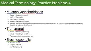 Medical Terminology  The Basics and Anatomy  Practice Problems Set 3 [upl. by Cirle671]