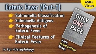 Enteric fever part1  Typhoid  Salmonella Typhi amp Paratyphi  Pathogenesis  Clinical features [upl. by Onilatac]