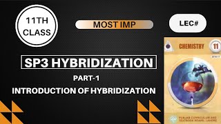 Sp3 Hybridization Introduction of Hybridization [upl. by Malia322]