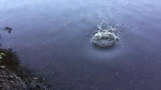 Slow Motion throwing a Rock In Water big ripples [upl. by Richella954]