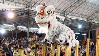 冠軍隊  臺灣基隆長興呂師父龍獅團 2013 International Lion Dance Competition 2013 [upl. by Sanoy]