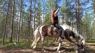 Mounted Archery camp Inari July 2020 [upl. by Thacher706]