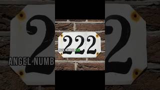 The meaning of angel number 222 in numerology love and career divinesigns spiritualawakening [upl. by Ros]