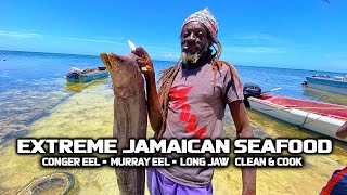 POISONOUS EEL EXTREME JAMAICAN SEAFOOD CONGER EEL MORAY EEL amp LONG JAW FISH [upl. by Druce]