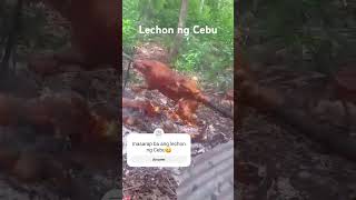 Lechon ng Cebu lechon [upl. by Ashil710]