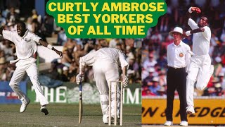 Curtly Ambrose Yorker Compilation  Ambrose Tallest Cricketer [upl. by Morey]