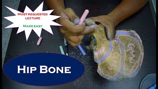 Anatomy of Hip bone  Simplified and made easy  Simplified amp made easy for beginners [upl. by Singleton]