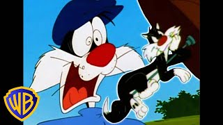 Looney Tunes en Français 🇫🇷  Les Meilleurs Moments de Sylvestre  WBKidsFrancais [upl. by Nairdad52]