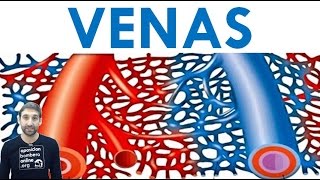 VENAS [upl. by Akinaj]