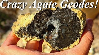 Gorgeous Agate Geodes Digging for Rare Amethyst amp Quartz Crystal Filled Fortification Agates [upl. by Delmer921]