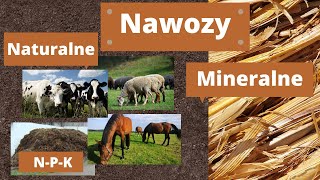 Nawozy naturalne czy mineralne [upl. by Dal]