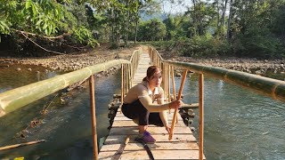 With Close Materials  Making A Simple Bamboo Bridge Across The Stream [upl. by Surtimed289]