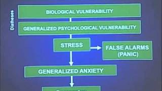 Anxiety and Mood Disorders in DSM5 [upl. by Derrek165]