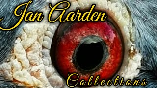 Jan Aarden Collection [upl. by Tamah99]