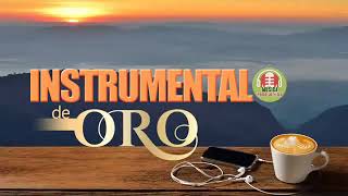 Musica Instrumental de Oro Para Escuchar Grandes Hits Instrumentales [upl. by Zuliram618]