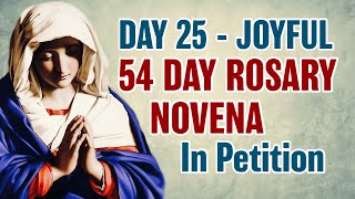 54 Day Rosary Novena Day 25 💙Joyful Mysteries [upl. by Rednirah]