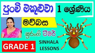 e thaksalawa 1 ශ්‍රේණිය පුංචි මකුළුවා Surangi Teacher Punchi Makuluwa [upl. by Elmore]