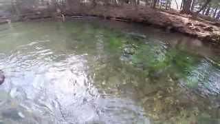 Fly fishing the Swift river Hatchery pool [upl. by Gerianna]