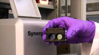 BIOTEK SYNERGY H1 DEMO [upl. by Eniamrahc]