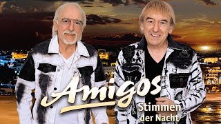 Amigos  Stimmen der Nacht Offizielles Video [upl. by Ahseekan]