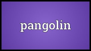 Pangolin Meaning [upl. by Haimes]