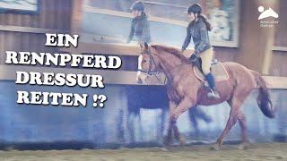 Ein Rennpferd Dressur reiten Zu Besuch auf Gestüt Idee [upl. by Auqeenahs]